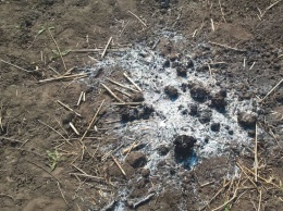 На Сумщине заживо сгорела женщина, сжигая сухую растительность на огороде