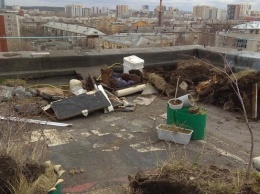Уральские коммунальщики уничтожили сад пенсионера, за которым он ухаживал 18 лет