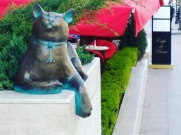 Еще больше котов: в Одессе появилась скульптура Софочке