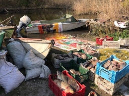 Избил инспектора и пытался скрыться: чиновник занимался браконьерством и выловил рыбы на 33 тысячи гривен (ФОТО)