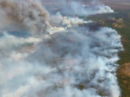 Масштабный пожар в Полесье: экологи оценивают ущерб в 1,6 млрд гривень