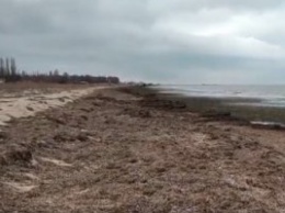 Оккупанты уничтожили пляж в крымском селе (видео)