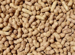 Лечение аллергии на арахис может быть опасней самой аллергии