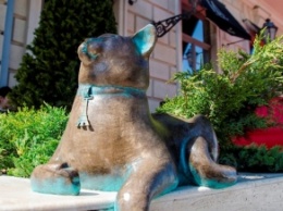 В Одессе открыт памятник беззаботной кошке Софе (видео)