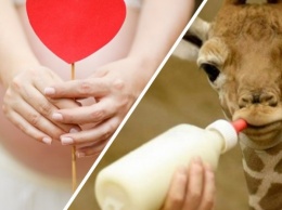Ученые нашли пользу грудного молока для роста мозга недоношенных детей