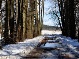 Снег выпал в Украине на Пасху: "зима вернулась", впечатляющие фото