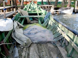 На Дунае - рекордная путина: рыбаки просят разрешения на добычу еще 100 тонн сельди