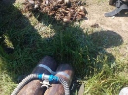 Операция "Нерест" прервала деятельность любимовских браконьеров