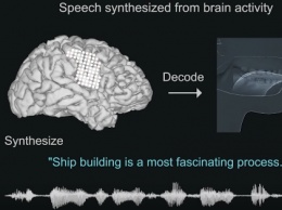 Найден способ воспроизводить речь по активности мозга