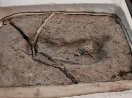 Древнейший след человека в Америке обнаружили ученые в Чили