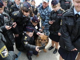 В Крыму полицейские-кинологи провели «День открытых дверей» для школьников