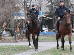 В патрульной полиции Киева не хватает патрульных кавалеристов (документ)