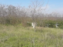 На заброшенное кладбище в Березанском районе отказываются идти даже священники