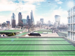 В Лондоне появятся бионические насаждения для очистки воздуха от углекислого газа