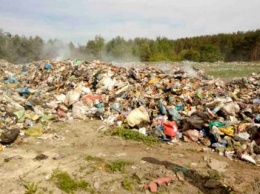 В Николаевской области на свалке девятилетнего мальчика насмерть завалило мусором