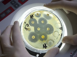 Российские ученые выделили новый антибиотик