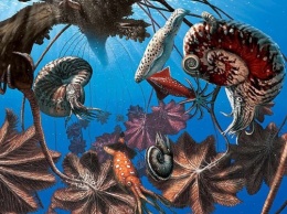 В эпоху динозавров морские существа плавали по океану на гигантских плотах