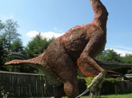 Палеонтологи нашли окаменелые яйца динозавров с самыми длинными когтями в истории