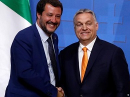 FAZ: Дружба Орбана и Сальвини - проблема для ЕС