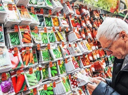 Как в Днепре правильно купить и выбрать семена: проверено на себе