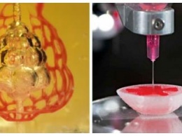 Дышащий мешок: Ученые напечатали на 3D-принтере модель, которая способна имитировать функции легких