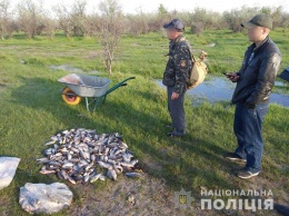 На Николаевщине полицейские задержали двоих браконьеров с почти полтысячей карасей