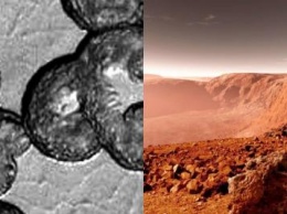 Цивилизация Е-образных пришельцев: Находка на Марсе ужаснула уфологов
