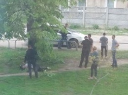 Трое мужчин резко бросились к дереву: страшный инцидент в Харькове (фото)