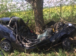 На трассе Знаменка-Луганск-Изварино водитель влетел в дерево: машину "сложило" поплам