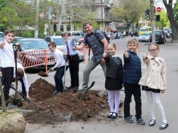 Одесские школьники вместе с общественниками и военными высадили каштаны в центре города