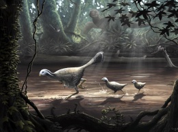 Ученые: полет динозавров мог возникнуть из быстрого бега