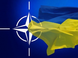 У Зеленского подтвердили неизменность курса Украины на ЕС и НАТО
