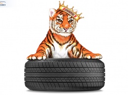 Тигренок Ройял представит новые всесезонки Uniroyal Tiger Paw Touring A/S