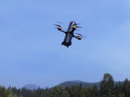Канадцы создали дрон-камикадзе, уничтожающий беспилотники (фото)