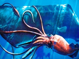 Изменения климата разбудили гигантских кальмаров-убийц: в морских глубинах могут скрываться и другие монстры