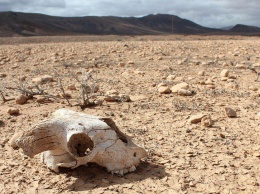 Земля превратится в пустыню: человечеству поставили однозначный диагноз, хвататься за голову поздно
