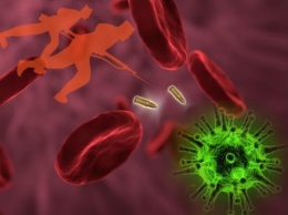 Ученые сняли момент убийства бактерий иммунной системой