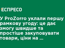 В ProZorro заключили первое рамочное соглашение: это позволяет быстрее и проще закупать товары, цены на которые сильно колеблются