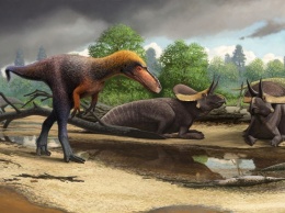 Ученые обнаружили нового родственника тираннозавра - "мини рекса"