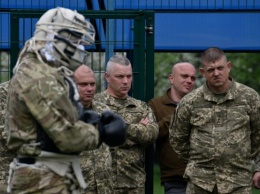 Украинские десантники освоят японский рукопашный бой