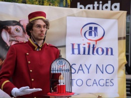 Украинцы присоединились к всемирной акции против Hilton: "Это жестоко и даже бесчеловечно"