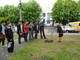 Николаевские школьники установили ограждения у деревьев в Манганариевском сквере (ФОТО)