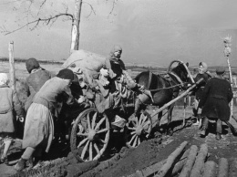 Лучшее в соцсетях. "У моей памяти о войне женский голос", - Наталья Абаканович