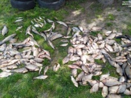 На Днепропетровщине браконьеры выловили рыбу на сумму более 32 тыс. грн