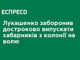 Лукашенко запретил досрочно выпускать взяточников из колонии на свободу