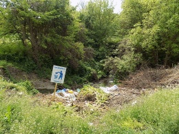 Фалафель против мусора: в Днепре жители и активисты очищают Тоннельную балку от мусора, - ФОТО
