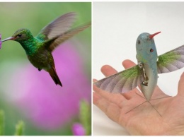 Робот-колибри заменит беспилотники? Ученые создали дрон, способный летать как самая маленькая птица