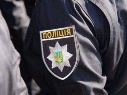 В Кременском районе полицейские избили водителя