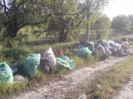 Херсонцы нанесли берегу Днепра ущерб мусором на 48 миллионов гривен