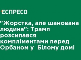 "Жесткий, но уважаемый человек": Трамп рассыпался комплиментами перед Орбаном в Белом доме